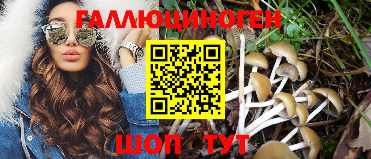 Псилоцибиновые грибы MAGIC MUSHROOMS  Псилоцибиновые грибы Cubensis  Вход с VPN  Нижнекамск 